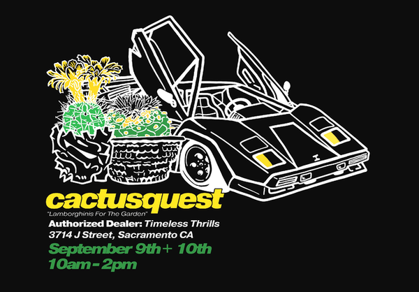 CACTUS QUEST POP-UP SHOP  Timeless Thrills