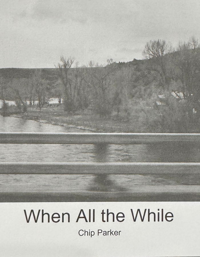 When All the While by Chip Parker