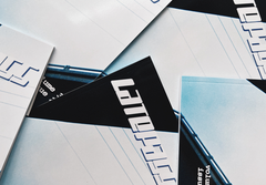 LATE PASS ZINE VOLUME 3 ISSUE 2