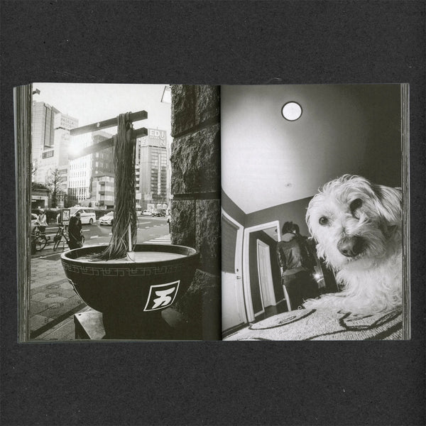 2 Dogs Document No. 3 by Kris Kirk