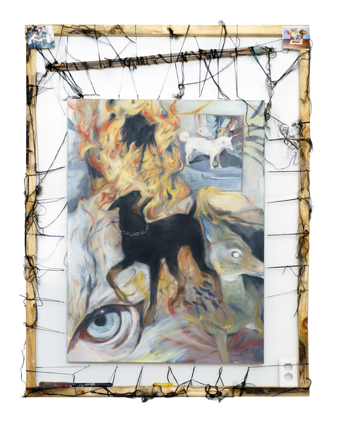 Animal Dreams