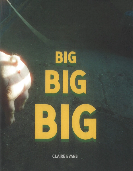 Big Big Big by Claire Evans