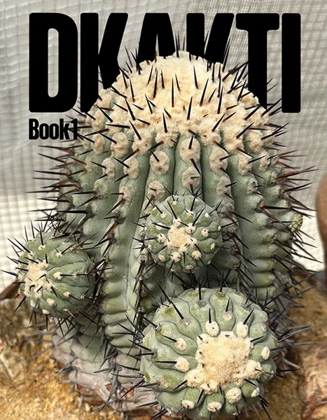 DKAKTI 01