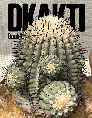 DKAKTI 01