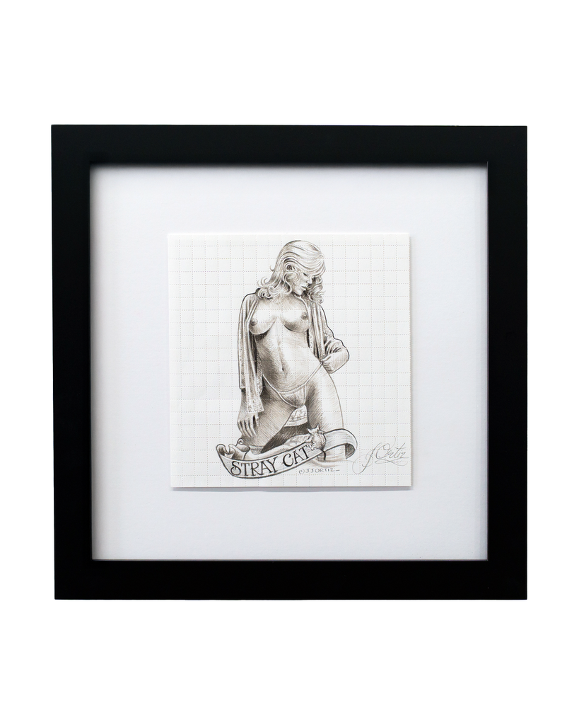 "Stray Cat" by JJ Ortiz