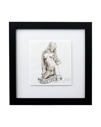 "Stray Cat" by JJ Ortiz