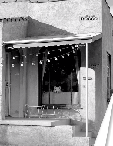 Walks with Rocco