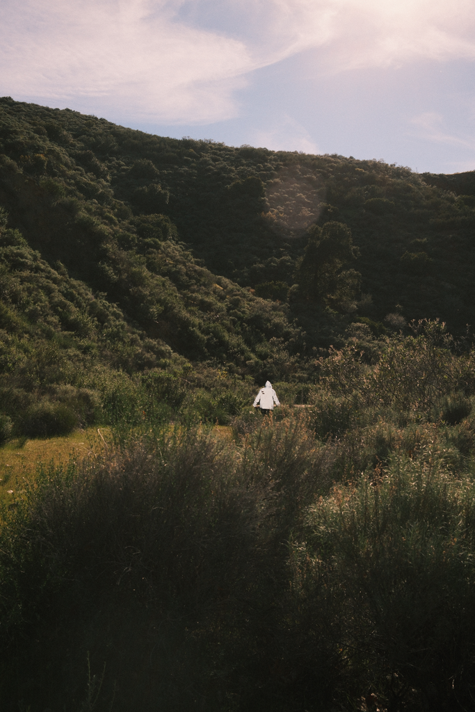 Ryan Maldonado - 'Untitled 01'