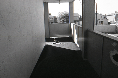 Sam Sangermano - 'Untitled 002'