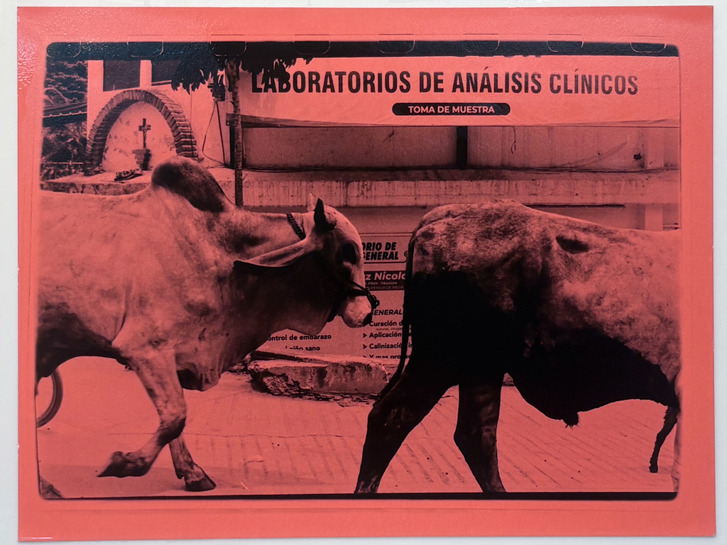 Sarhely Morales  - 'En la calle'