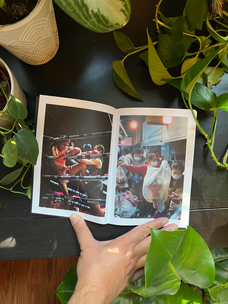 The Snake & the Rabbit – Timeless Thrills Gallery