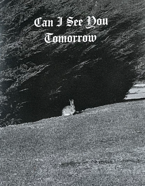 Can I See You Tomorrow