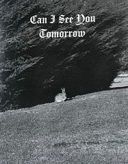 Can I See You Tomorrow
